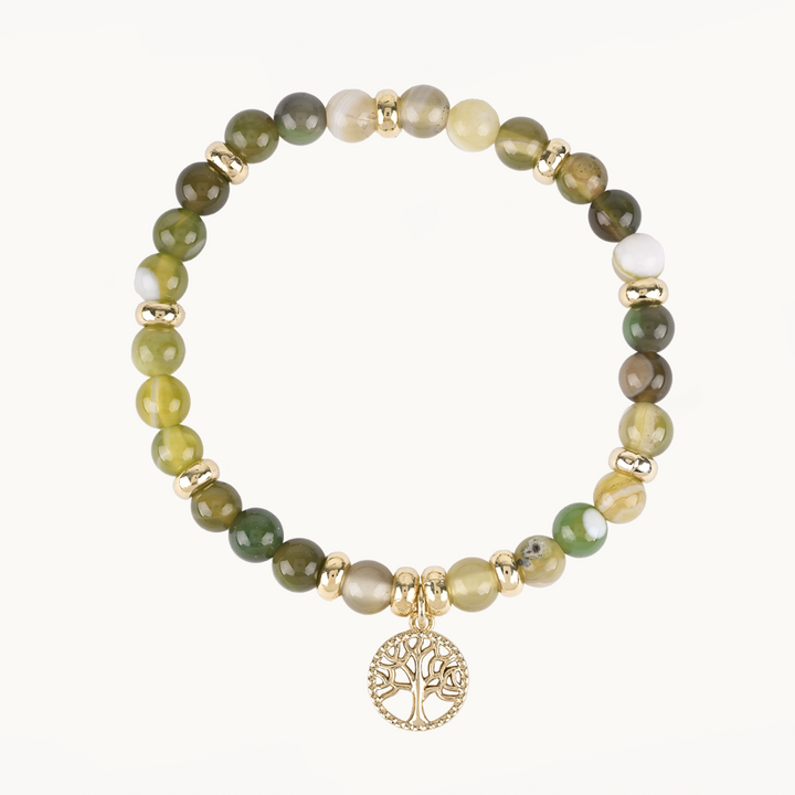 PULSERA WILD OLIVE - 9567