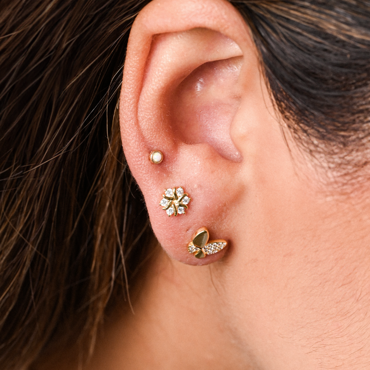 ARETES COPO DE NIEVE - 9328